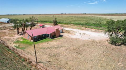 A home in Muleshoe