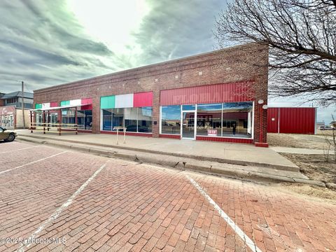 115 W Broadway Avenue Tulia TX 79088