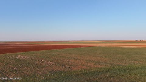 0 FM 211 Brownfield TX 79316