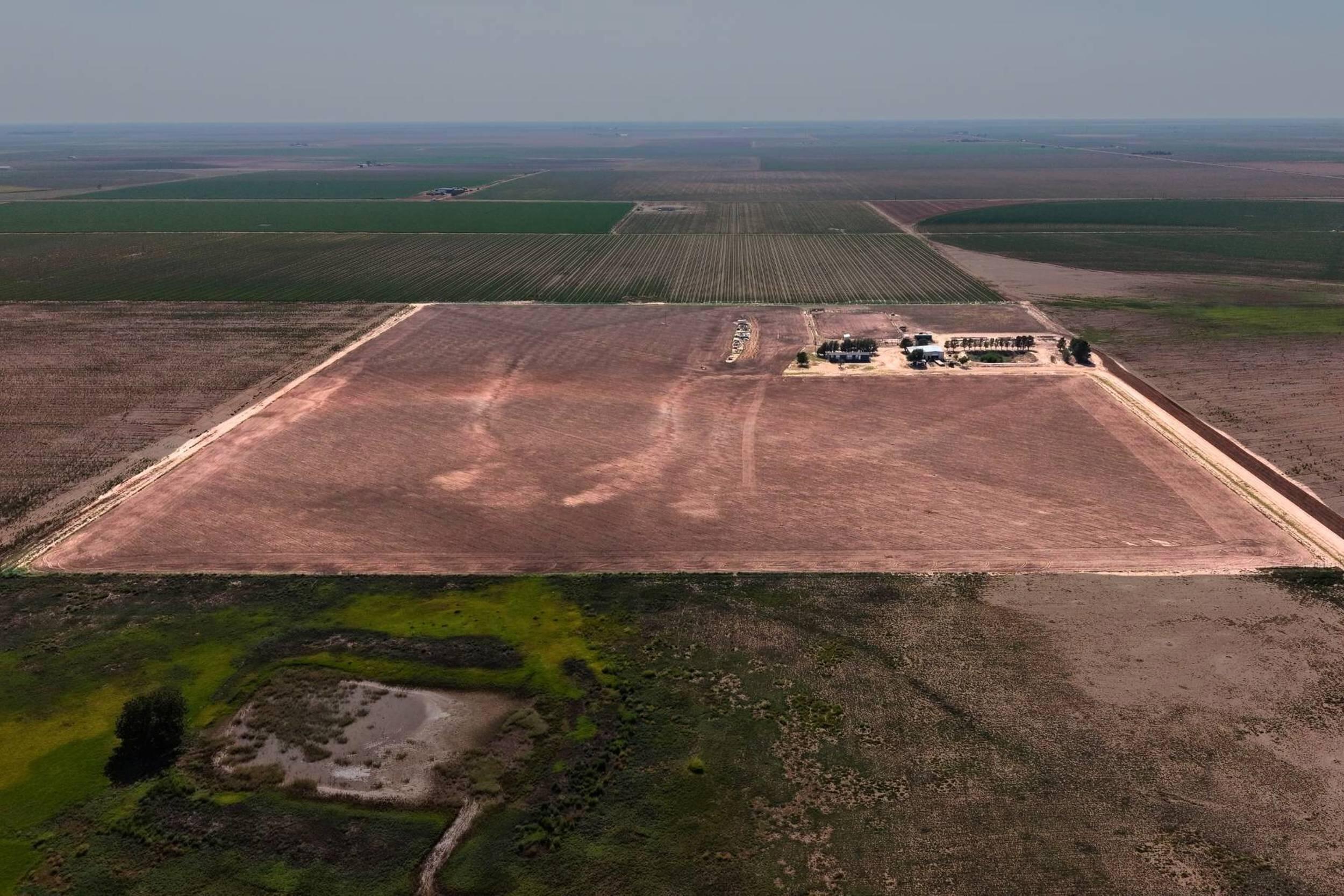 4160 Hummingbird Acreage Road - Photo 2