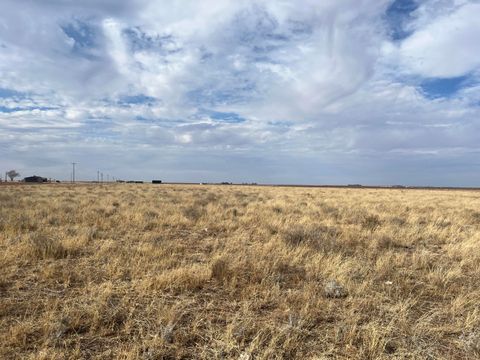 0 FM 1317 New Home TX 79383