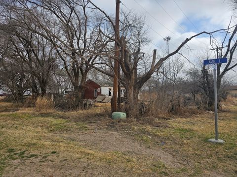 Photo of 215 Avenue L, Shallowater, TX 79363 (MLS # 202603120)