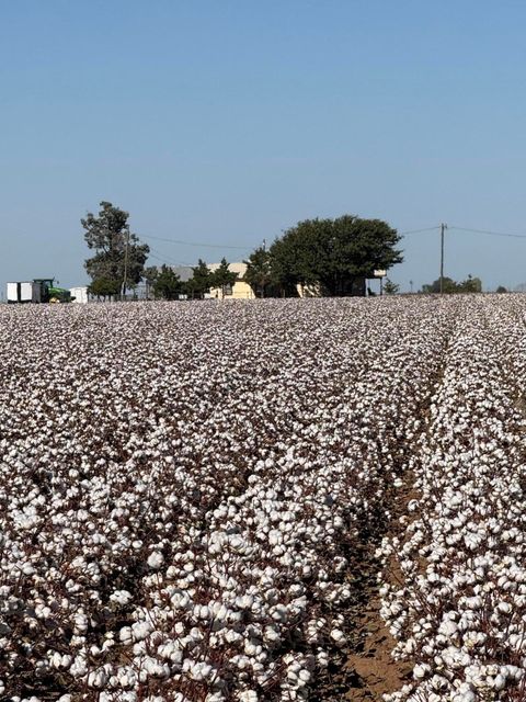 740 Sun Road Plainview TX 79072