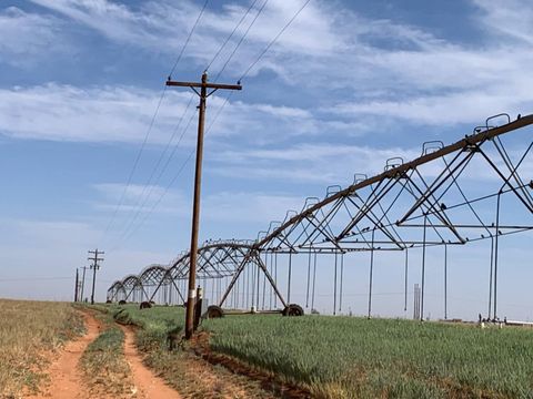 0 Tiger Ropesville TX 79358