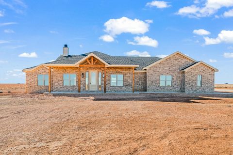 Photo of 4084 Hawk Road, Ropesville, TX 79358 (MLS # 202605311)