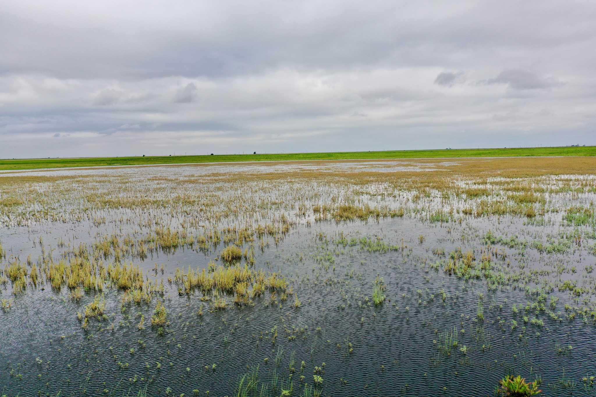 2015 Co Rd 9, Tulia, TX, 79088 4 2015 Co Rd 9