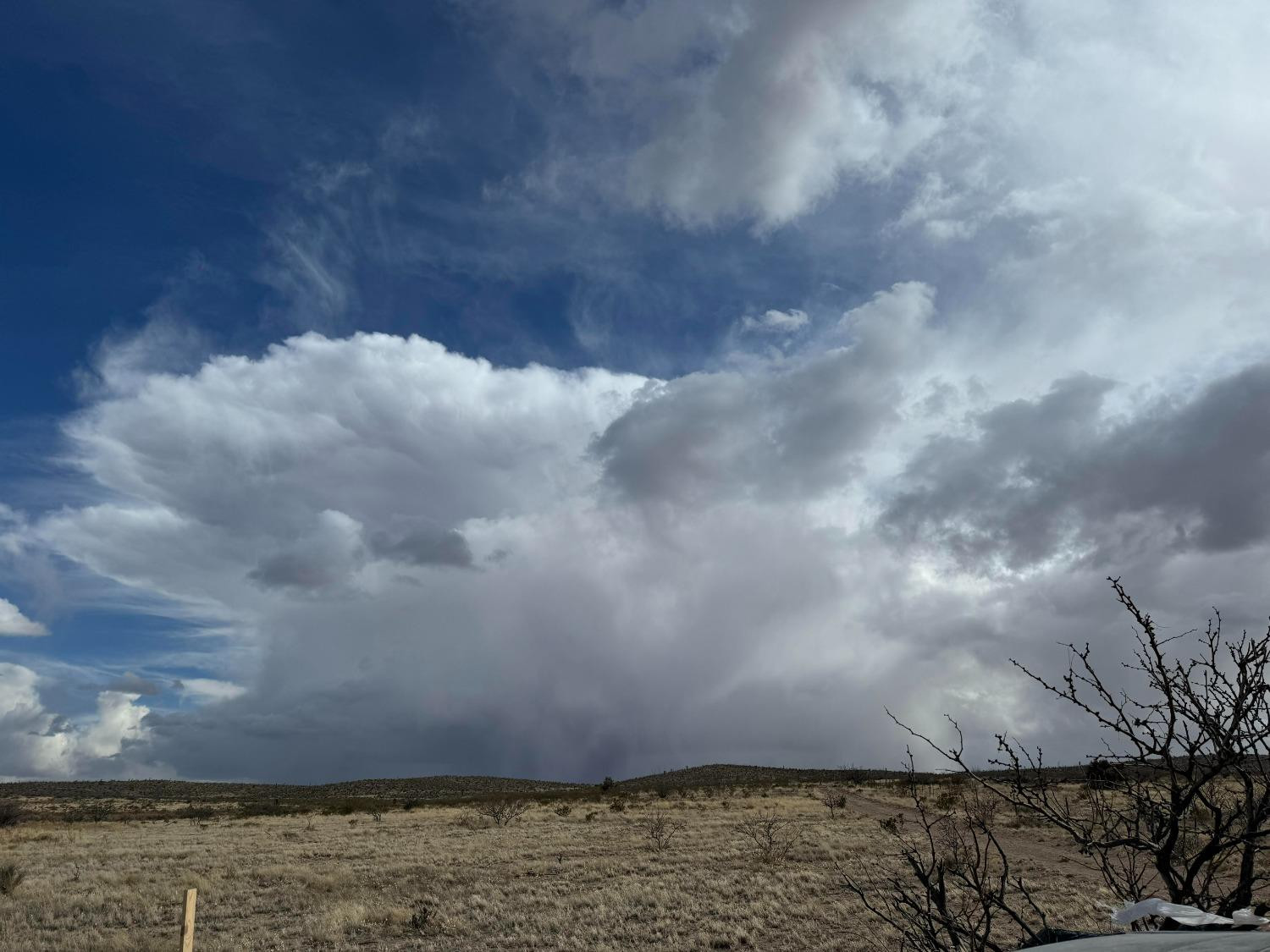 Sierra Blanca, Texas 79851, United States, ,Land,Active,64138