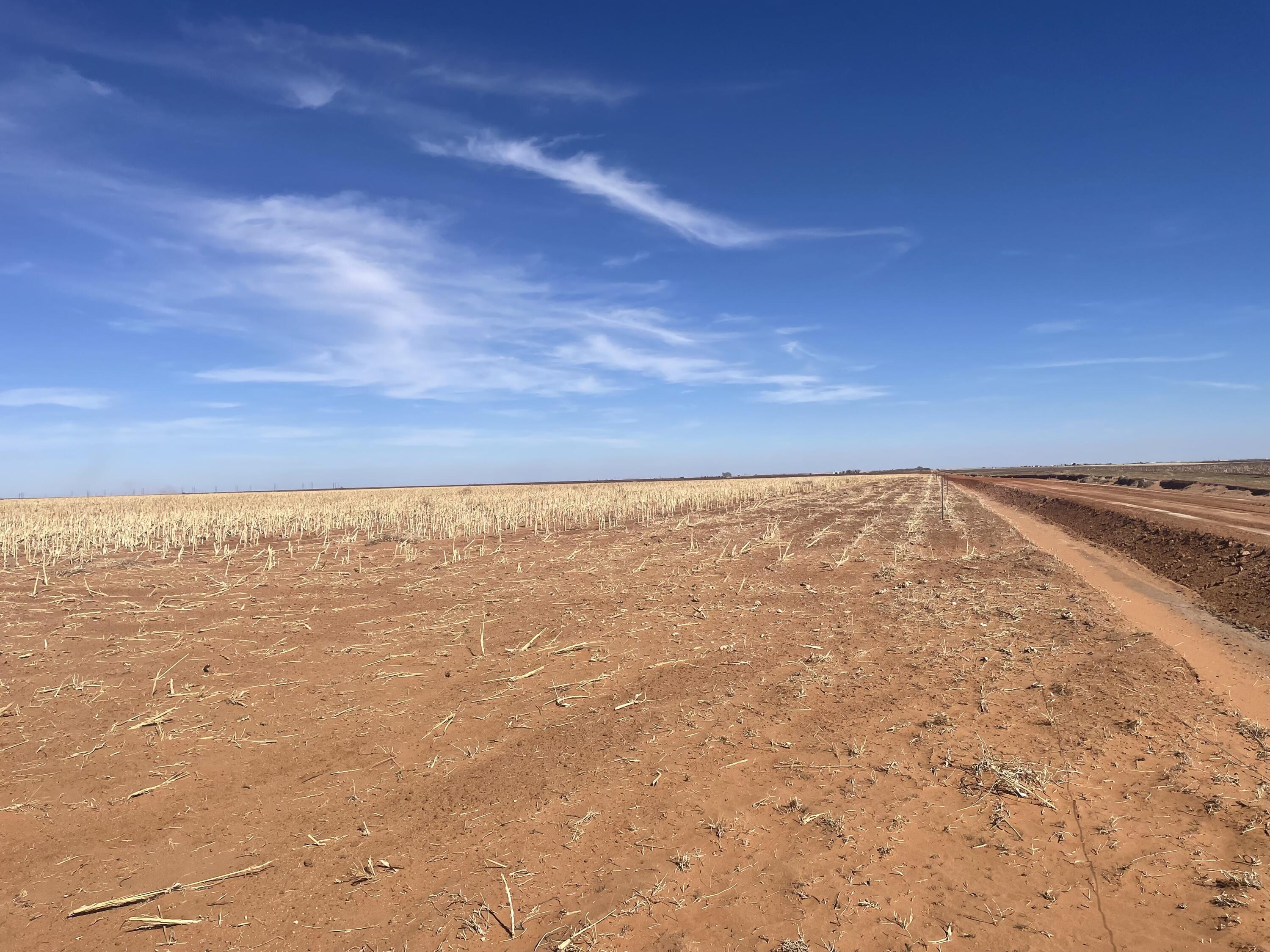 Farm-To-Market Road Road 303