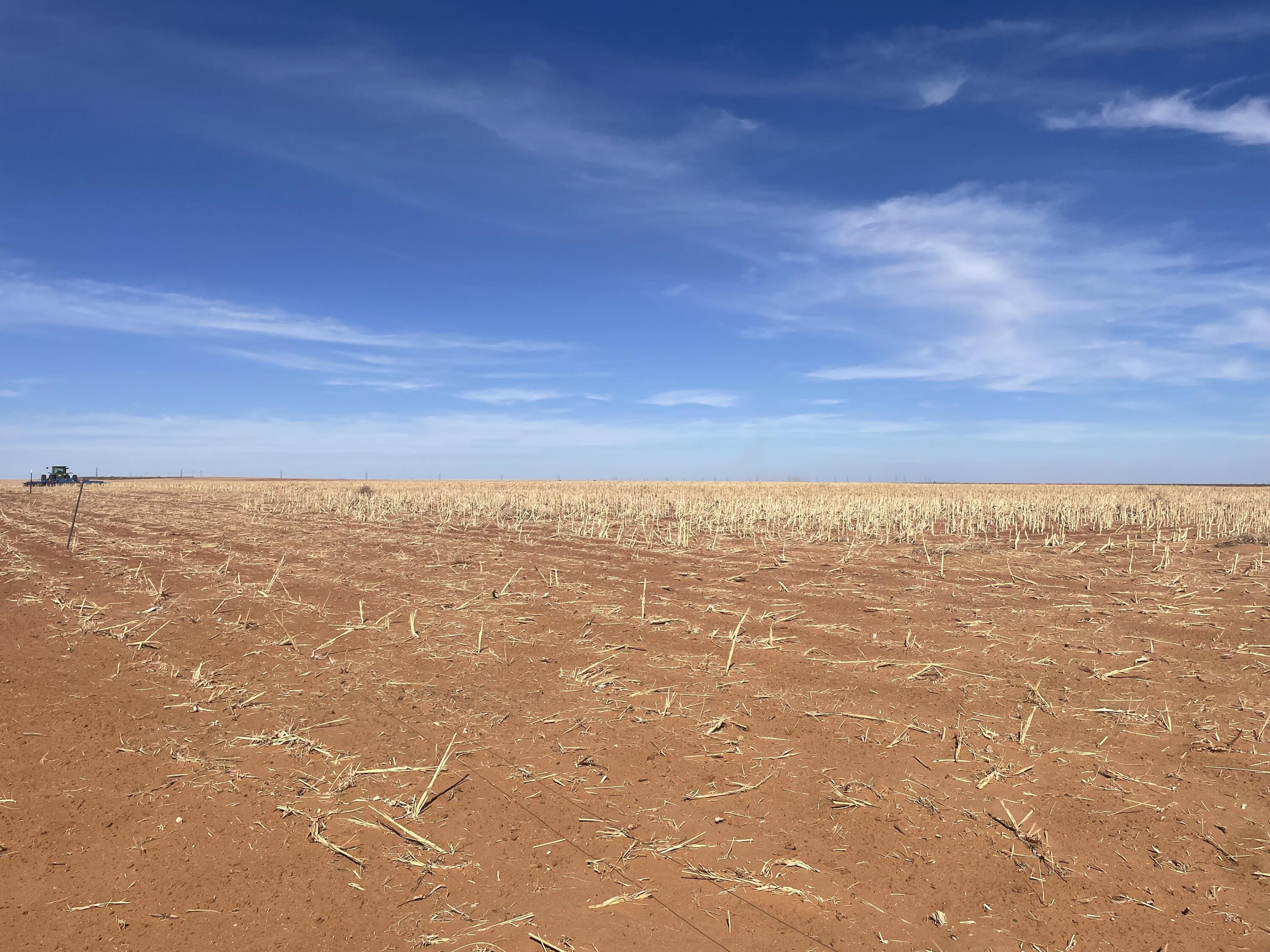 Farm-To-Market Road Road 303