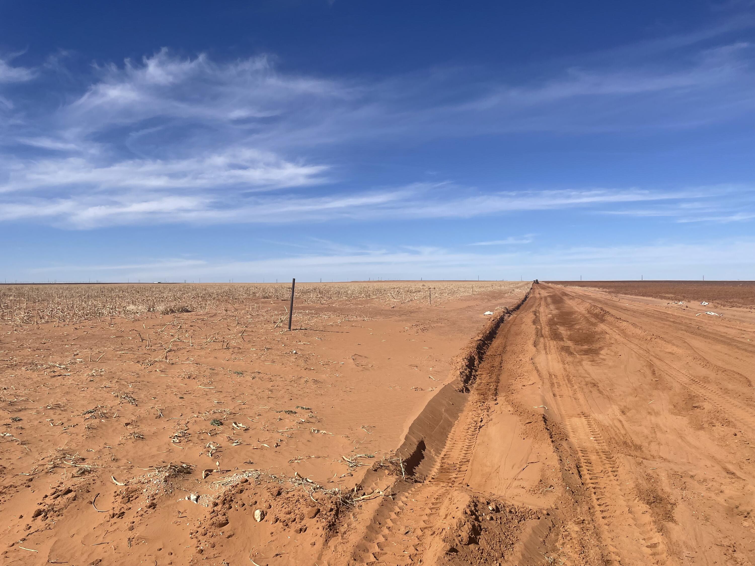 Farm-To-Market Road Road 303