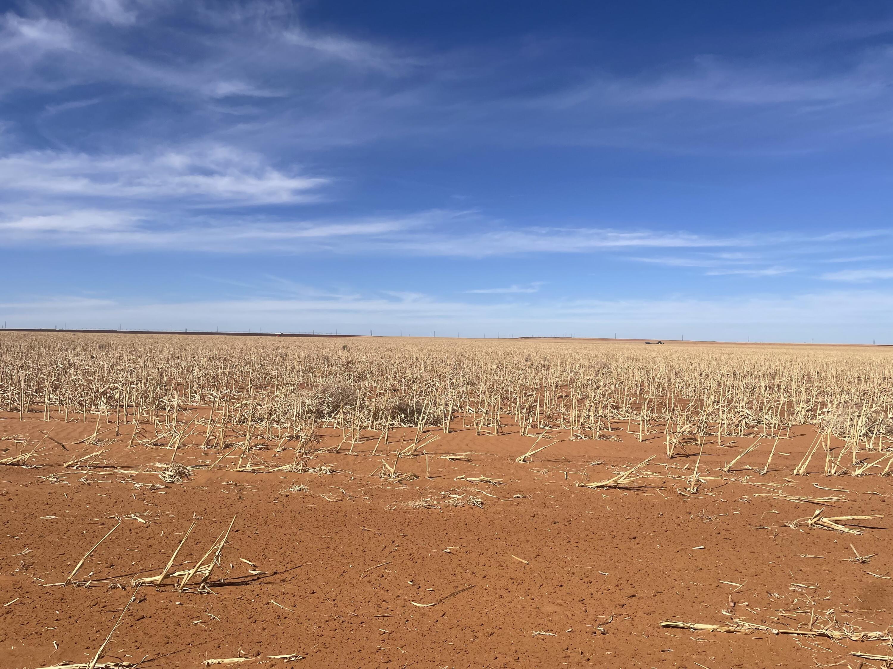 Farm-To-Market Road Road 303