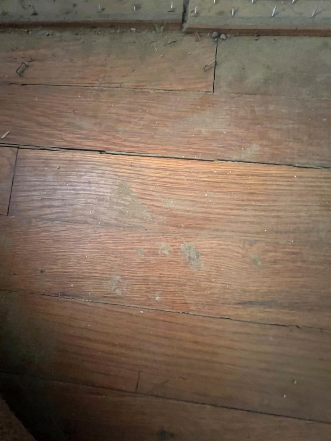 Plainview, Texas 79072, United States, 3 Bedrooms Bedrooms, ,2 BathroomsBathrooms,Residential,Active,67138