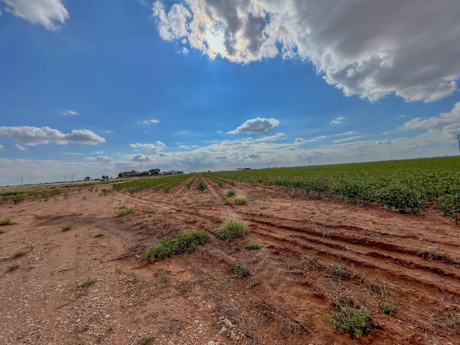 RFP, UNIT 3 Cooper Boulevard