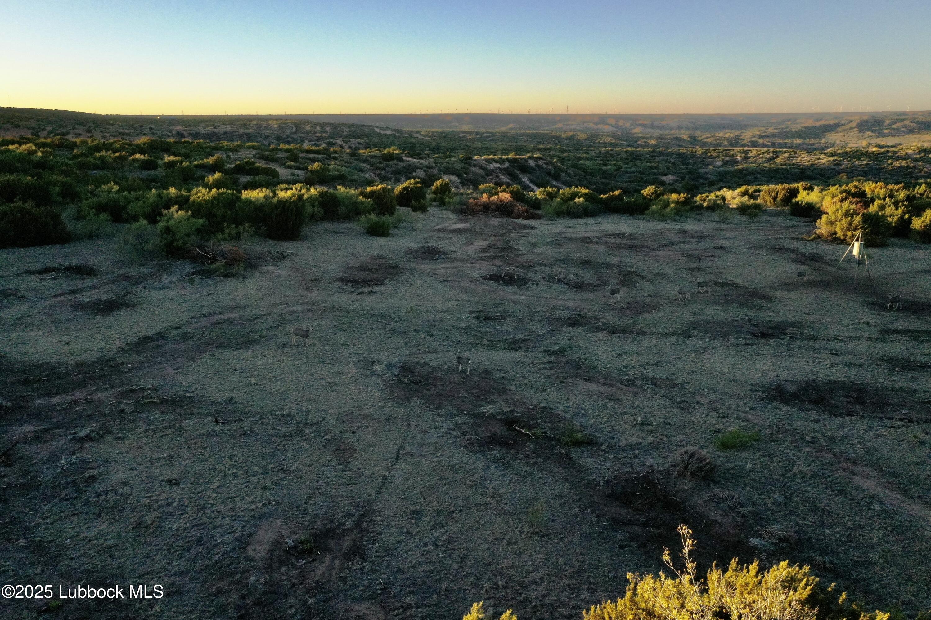 Tract 4 Romeo Rd, Claude, TX, 79019 3 Tract 4 Romeo Rd