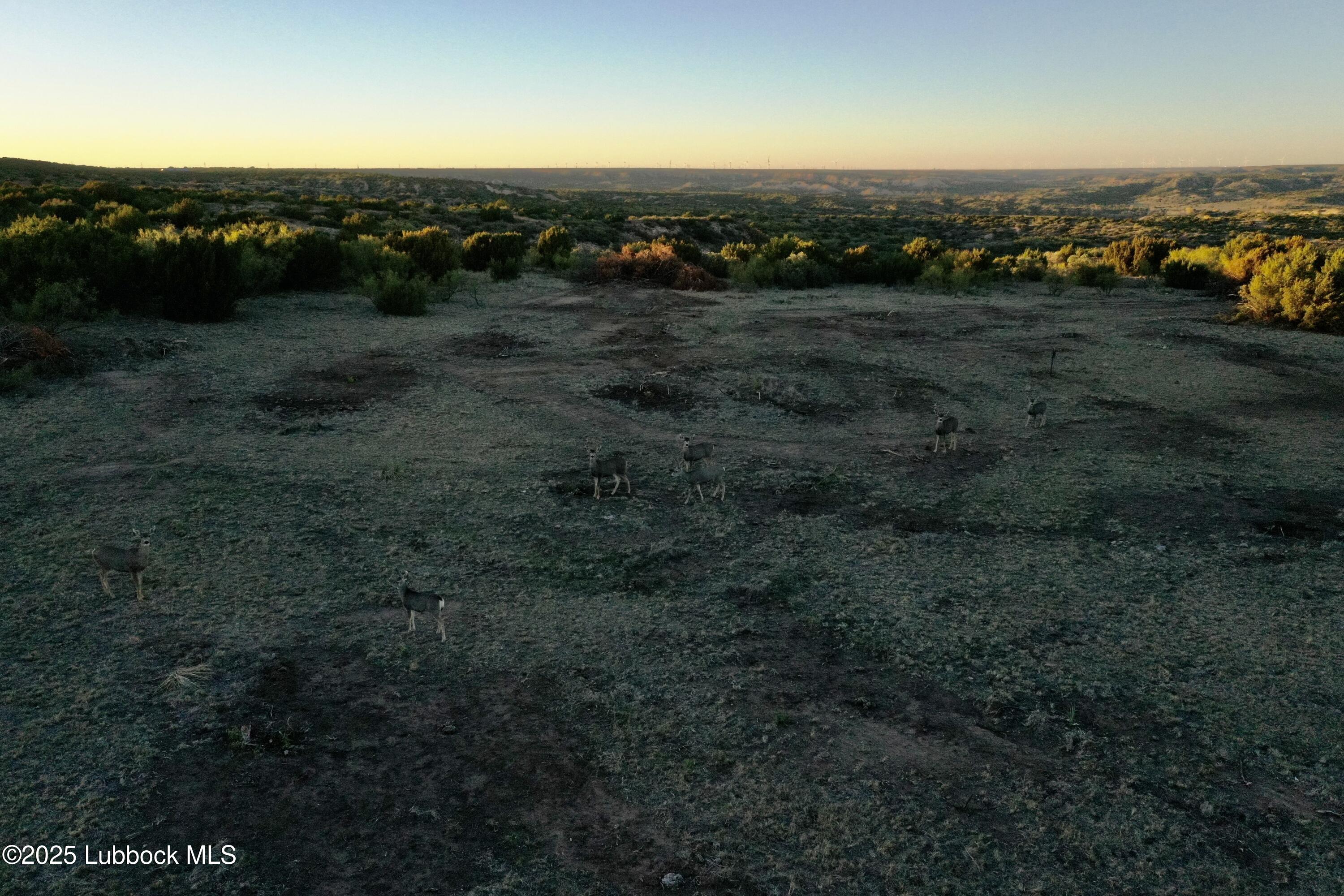 Tract 4 Romeo Rd, Claude, TX, 79019 4 Tract 4 Romeo Rd