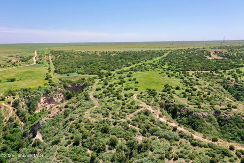 Tract 4 Romeo Rd Claude TX 79019