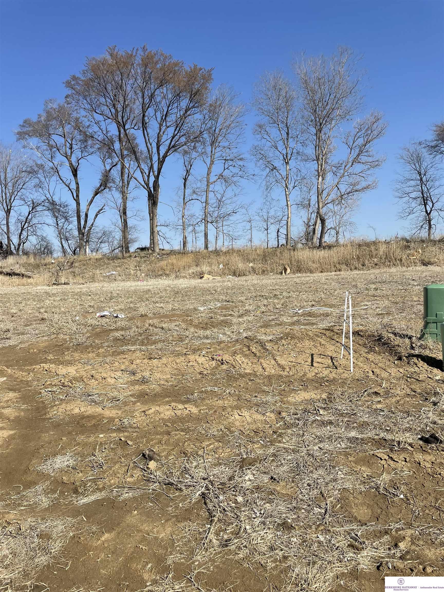 Bennington, Nebraska 68007, United States, ,Land,Active,73246