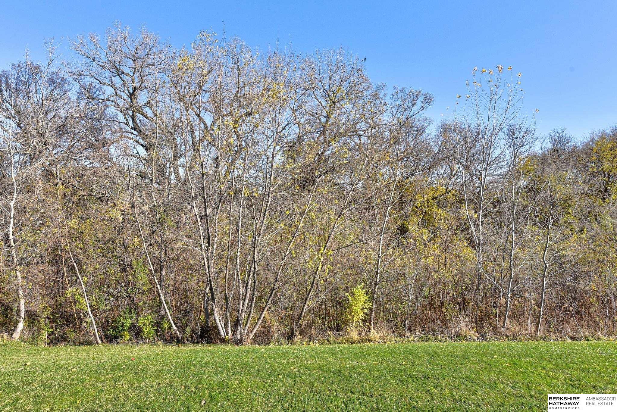 Elkhorn, Nebraska 68022, United States, 5 Bedrooms Bedrooms, ,4 BathroomsBathrooms,Residential,Pending,22632