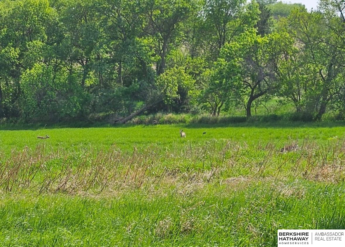 Omaha, Nebraska 68136, United States, 3 Bedrooms Bedrooms, ,3 BathroomsBathrooms,Residential,Pending,88597