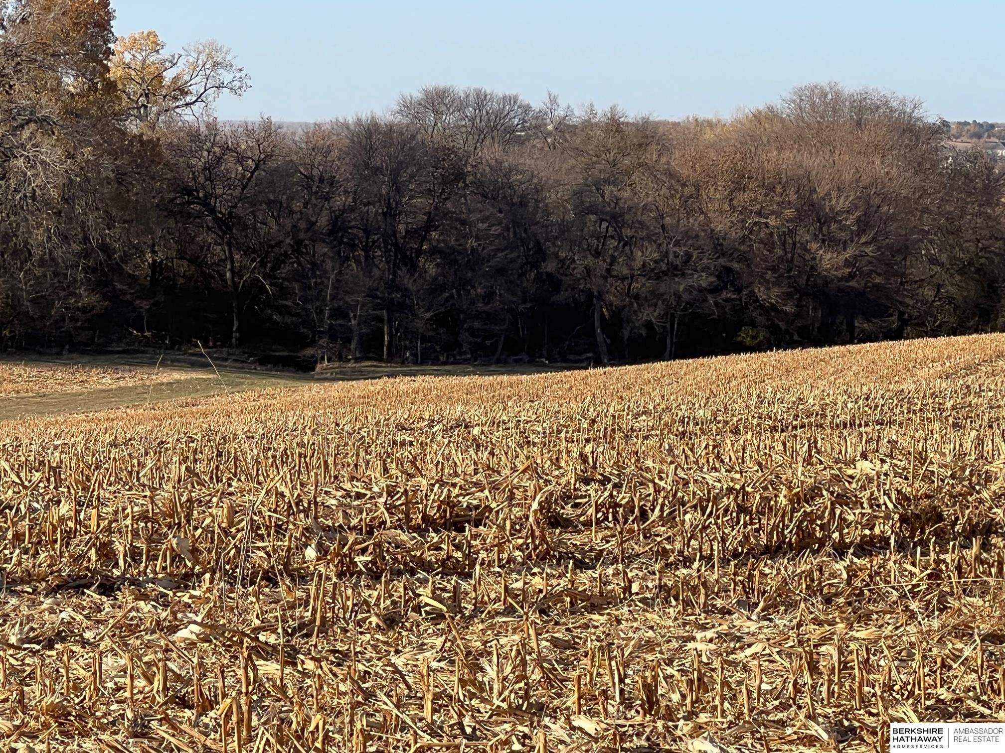Gretna, Nebraska 68028, United States, ,Land,Active,12391