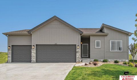 Photo of 16920 Newport Avenue, Omaha, NE 68116 (MLS # 22505940)