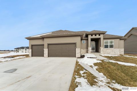 Photo of 20814 Kansas Avenue, Elkhorn, NE 68022 (MLS # 22524653)