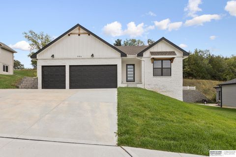 Photo of 906 Southridge Drive, Louisville, NE 68037 (MLS # 22535014)