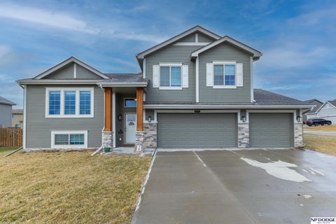 Photo of 14802 S 19th Street, Bellevue, NE 68123 (MLS # 22605395)