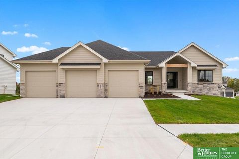 Photo of 4513 S 203rd Street, Omaha, NE 68135 (MLS # 22530972)