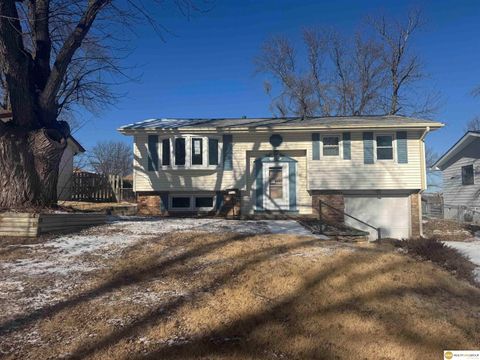 Photo of 9134 Taylor Street, Omaha, NE 68134 (MLS # 22603134)