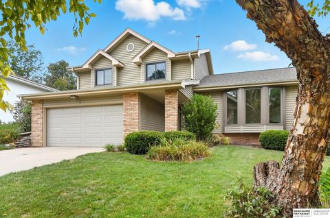 Photo of 1130 N 153rd Avenue, Omaha, NE 68154 (MLS # 22526109)