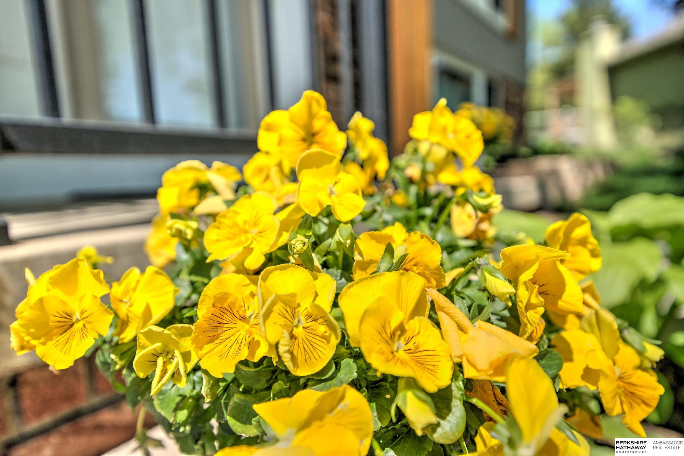 Omaha, Nebraska 68144, United States, 3 Bedrooms Bedrooms, ,2 BathroomsBathrooms,Residential,Pending,144879