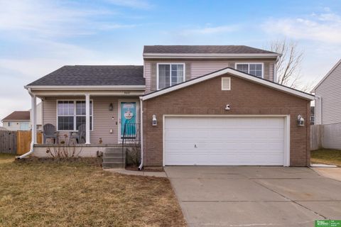 Photo of 16147 Cherrywood Street, Omaha, NE 68136 (MLS # 22602231)