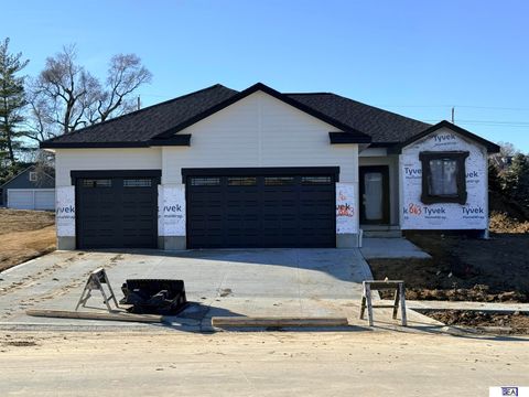 Photo of 683 Palomino Street, Papillion, NE 68046 (MLS # 22600075)