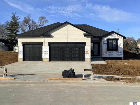 Photo of 683 Palomino Street, Papillion, NE 68046 (MLS # 22600075)