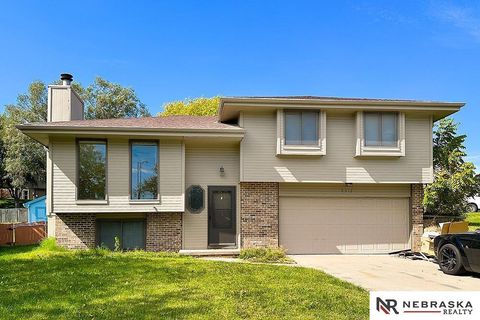 Photo of 9912 S 9th Avenue, Bellevue, NE 68123 (MLS # 22528189)