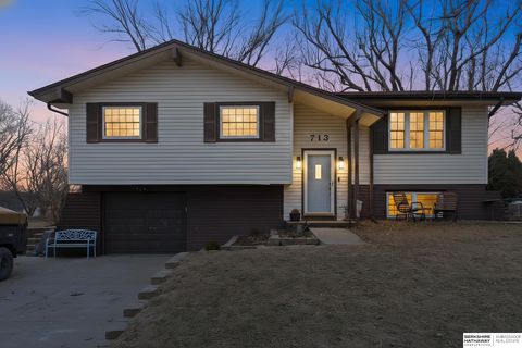 Photo of 713 N 12th Street, Blair, NE 68008 (MLS # 22606695)