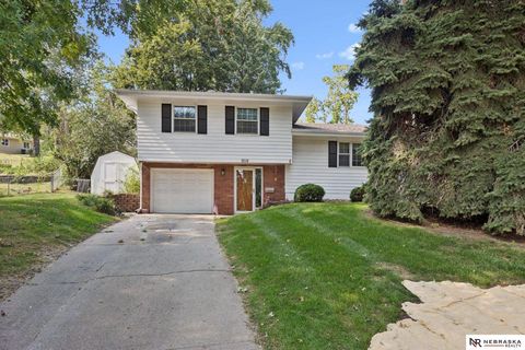 Photo of 9119 Susan Circle, Omaha, NE 68124 (MLS # 22528509)