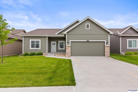 Photo of 21117 Polk Street, Elkhorn, NE 68022 (MLS # 22614310)