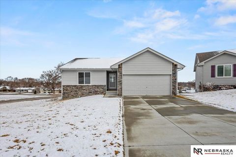 Photo of 1010 S 14th Avenue, Blair, NE 68008 (MLS # 22606667)
