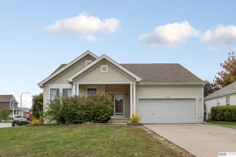 Photo of 2208 S Mineral Drive, Papillion, NE 68046 (MLS # 22530849) Photo of 2208 S Mineral Drive, Papillion, NE 68046 (MLS # 22530849)