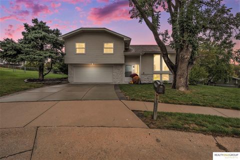 Photo of 2024 N 124th Circle, Omaha, NE 68164 (MLS # 22528946)