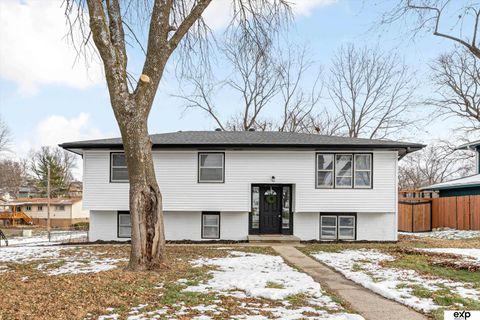 Photo of 4829 Terrace Drive, Omaha, NE 68134 (MLS # 22534644)