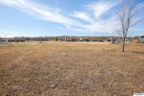 Photo of 2310 Landing Lane, Blair, NE 68008 (MLS # 22627405)