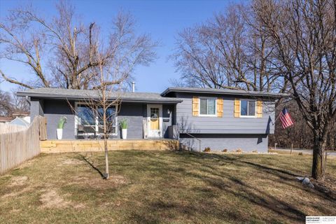 Photo of 9604 Ruggles Street, Omaha, NE 68134 (MLS # 22601695)