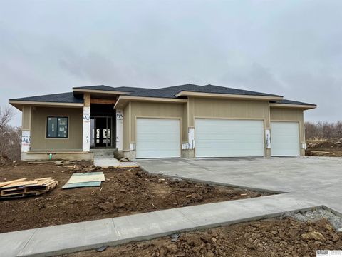 Photo of 8958 Von Street, Papillion, NE 68046 (MLS # 22531853)
