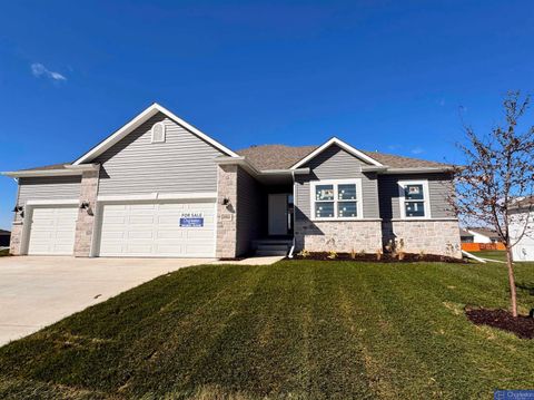 20522 Riviera Drive, Gretna, NE 68028 - #: 22522323