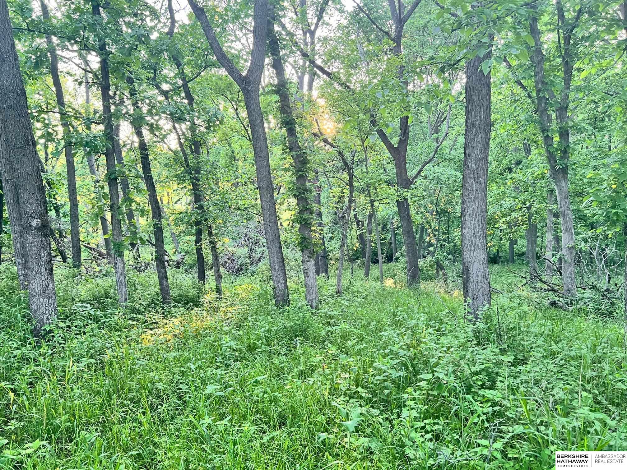 Omaha, Nebraska 68152, United States, ,Land,Active,150961