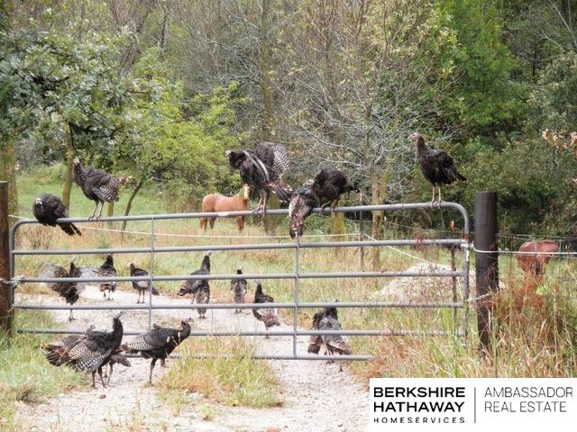 Omaha, Nebraska 68152, United States, ,Land,Active,150961