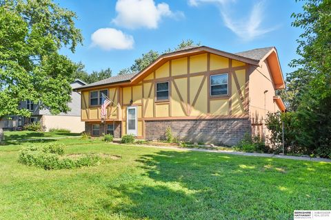 Photo of 13304 Glenn Street, Omaha, NE 68138 (MLS # 22527917)